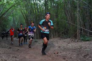 BIB: 3977, 
                            <button type="button" onclick="openModal(4102124)" class="btn btn-primary btn-sm float-right btn-popup" data-toggle="modal" data-target=".modal-high-quality">
                        <i class="fas fa-shopping-cart"></i> Add to Cart
                    </button>
                                            <button type="button" onclick="isThisMe(4102124, true)" class="btn btn-success btn-sm float-right btn-popup btn-isme hidden" data-toggle="tooltip" data-placement="bottom" title="นี่คือรูปของคุณใช่ไหม คลิกที่นี่เพื่อเอาเข้าอัลบั้ม">
                        <i class="fas fa-plus"></i> Add to album
                    </button>
                    <button type="button" onclick="isThisMe(4102124, false)" class="btn btn-warning btn-sm float-right btn-popup btn-isnotme hidden">
                        <i class="fas fa-ban"></i> Remove from album
                    </button>